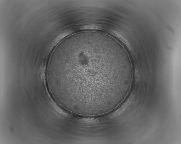 X0000114091033200910191558
