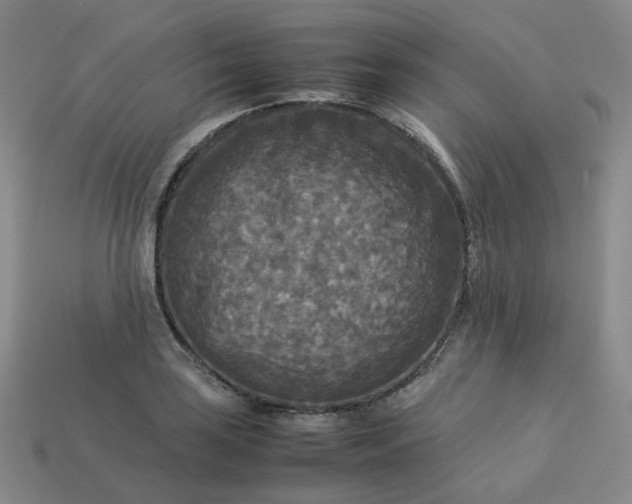 X0000114091035200910191558