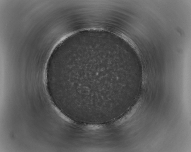 X0000114091037200910191558