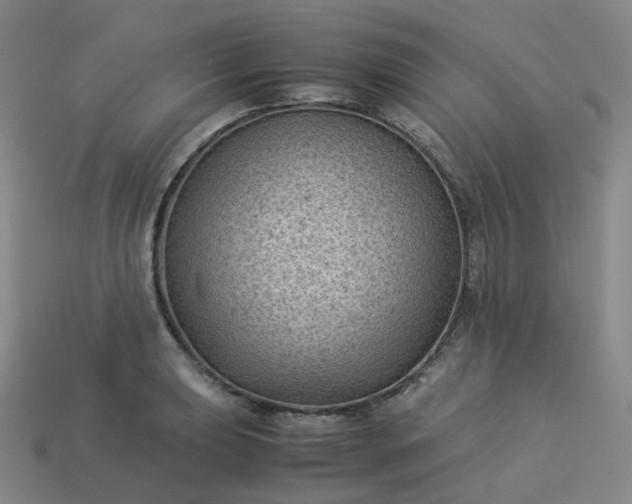 X0000114091039200910191559