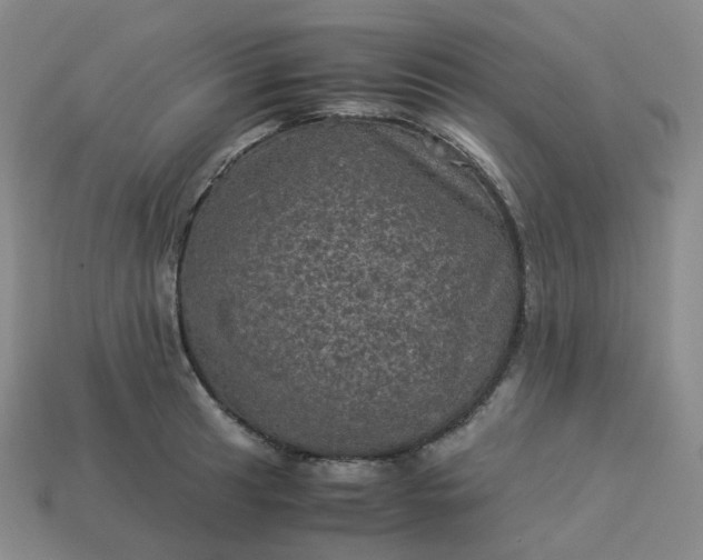 X0000114091041200910191559