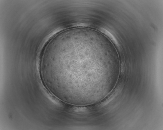 X0000114091043200910191559