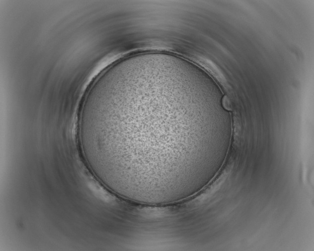 X0000114091044200910191559