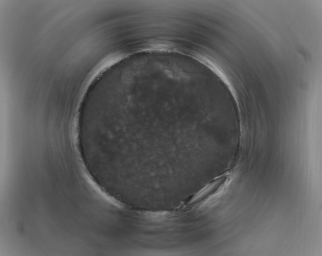 X0000114091045200910191559