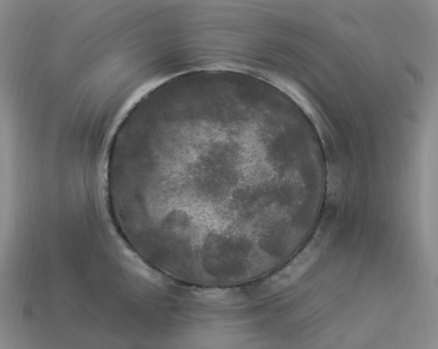 X0000114091048200910191559
