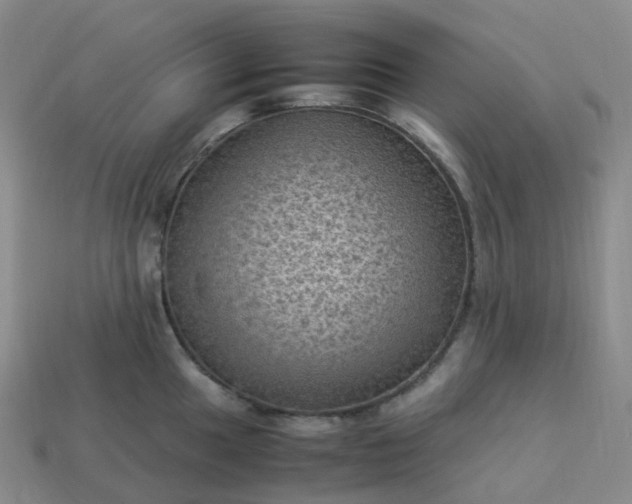 X0000114091049200910191559