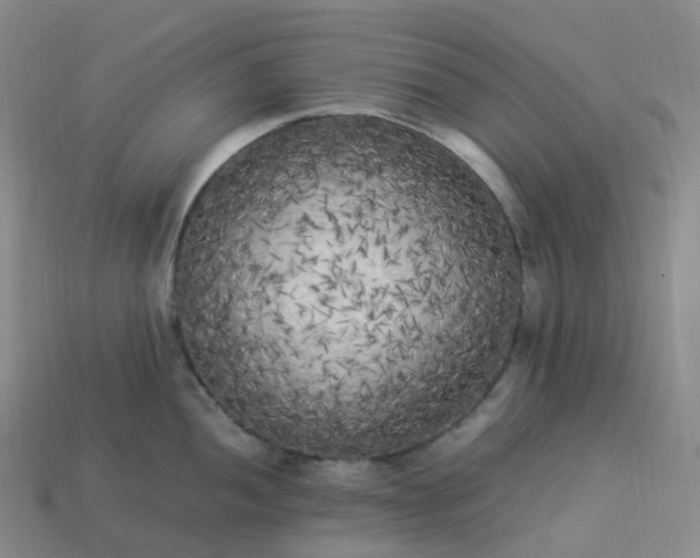 X0000114091052200910191559
