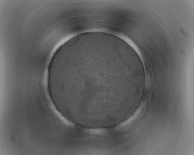 X0000114091053200910191559