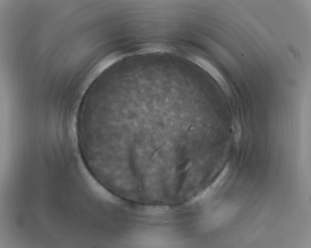 X0000114091055200910191559