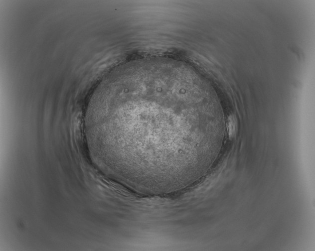 X0000114091059200910191558