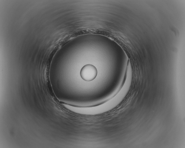 X0000114091060200910191558