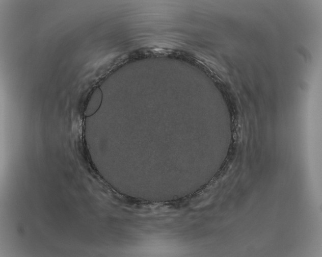 X0000114091061200910191558