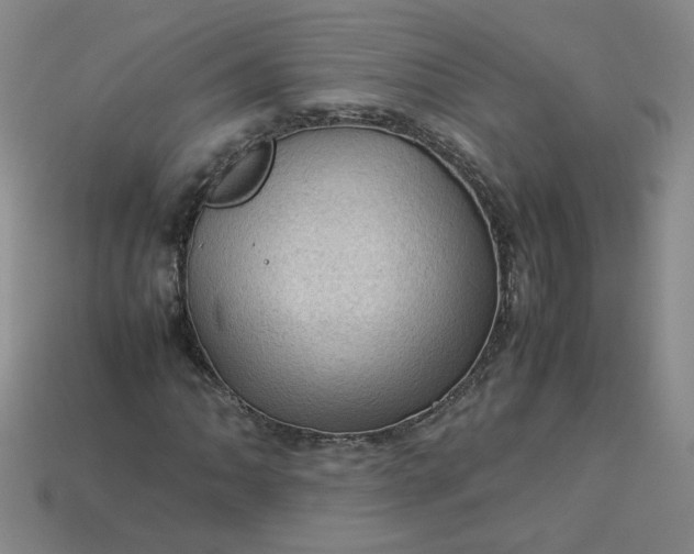 X0000114091062200910191558