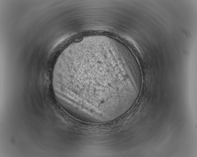 X0000114091064200910191558
