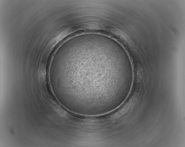 X0000114091065200910191558