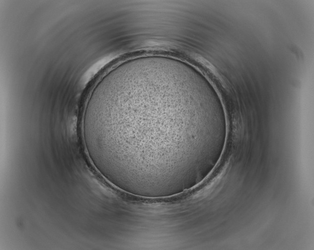 X0000114091066200910191558