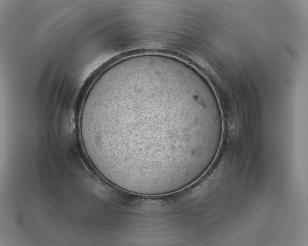 X0000114091070200910191558
