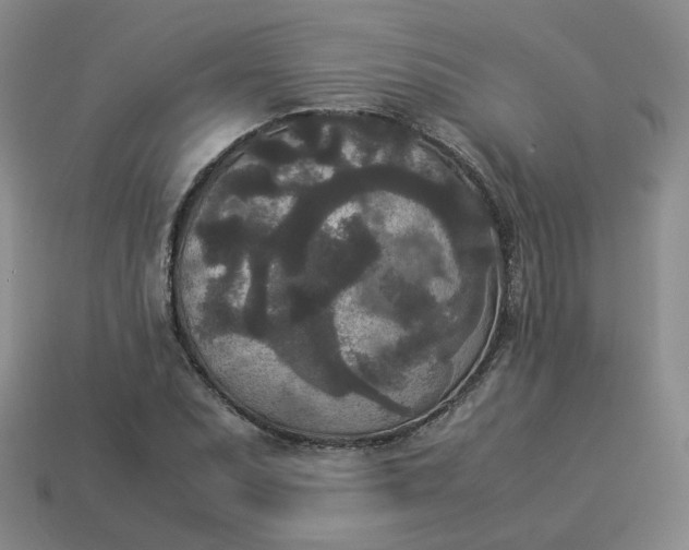 X0000114091071200910191558