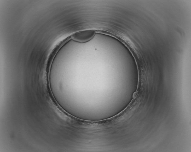 X0000114091072200910191558