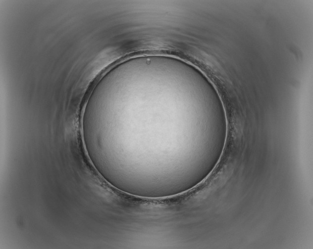 X0000114091073200910191558