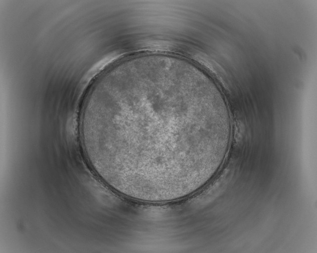 X0000114091074200910191558
