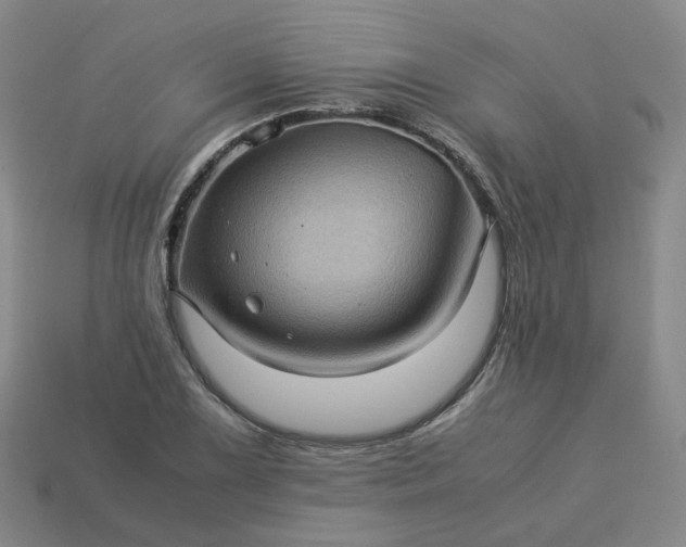 X0000114091075200910191558