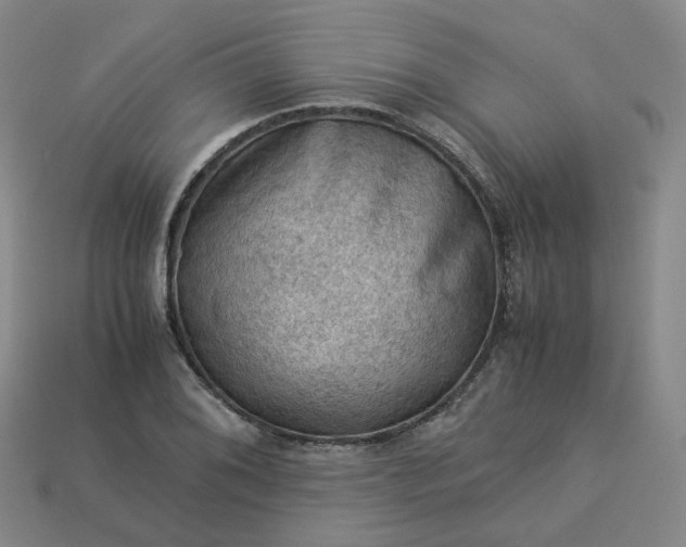 X0000114091076200910191558