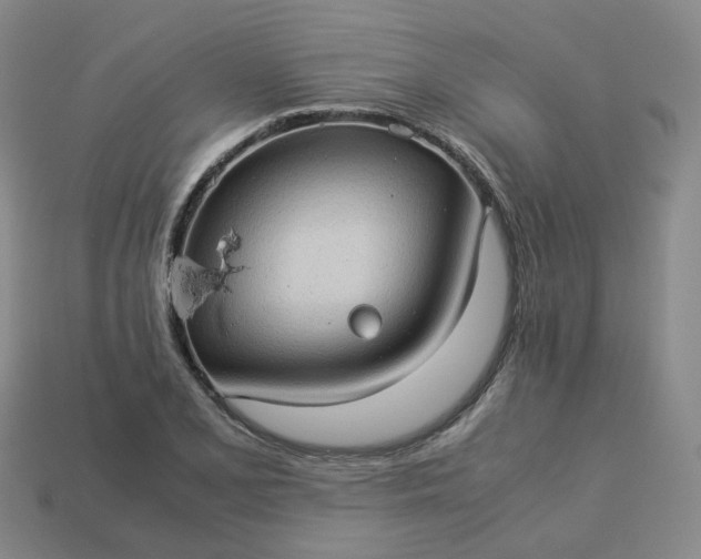 X0000114091077200910191558