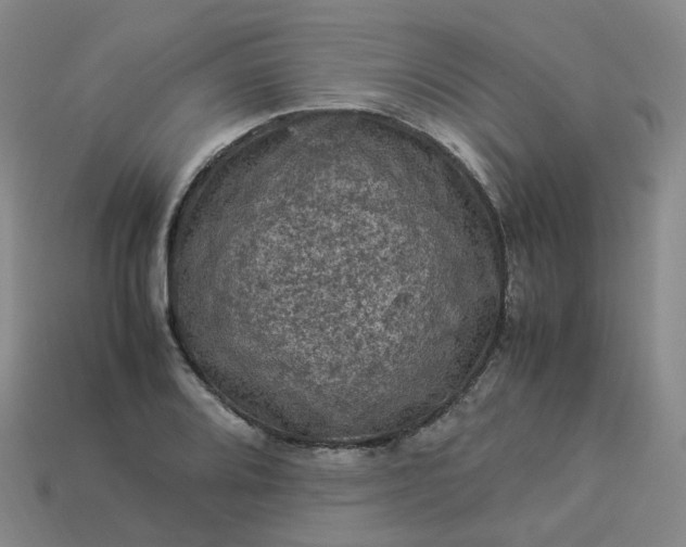 X0000114091080200910191558