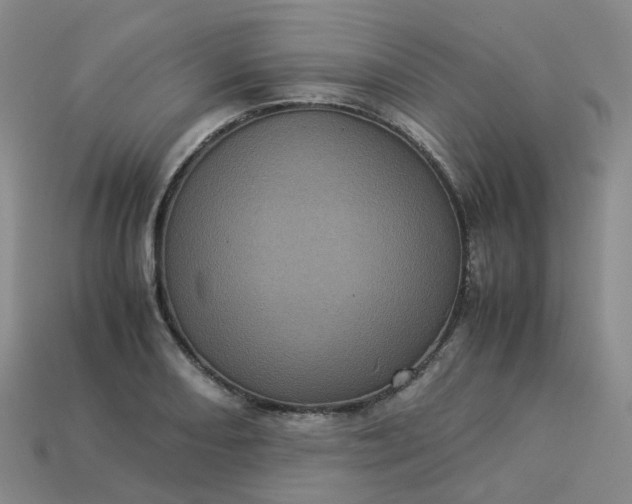 X0000114091082200910191558