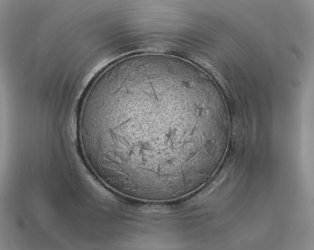 X0000114091083200910191558