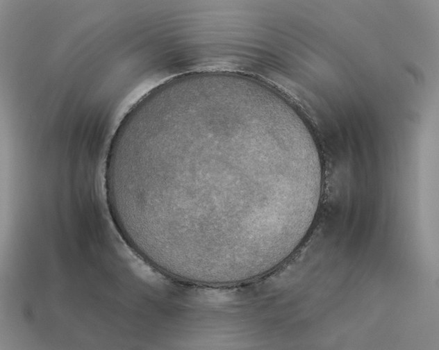 X0000114091086200910191558