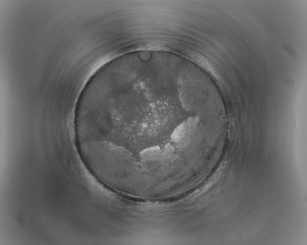 X0000114091087200910191558