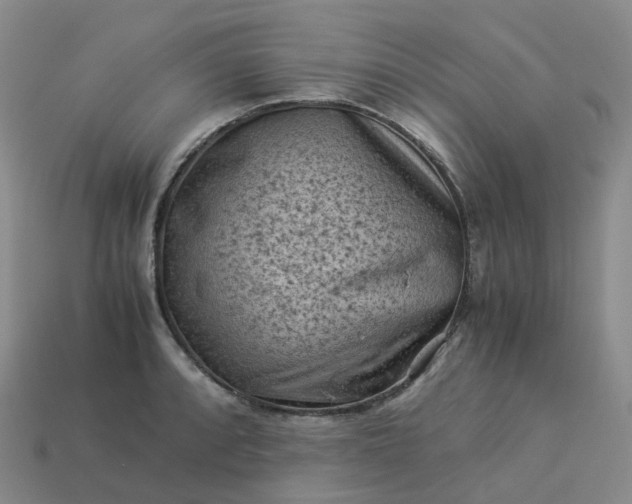 X0000114091088200910191558