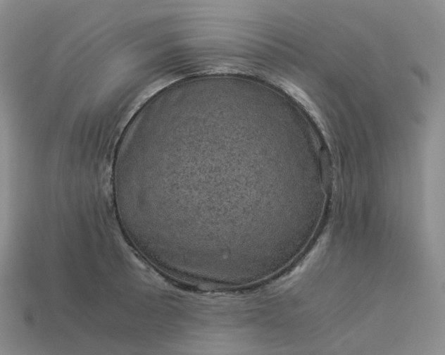 X0000114091089200910191558