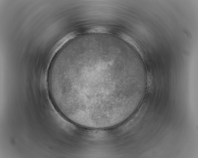 X0000114091090200910191558