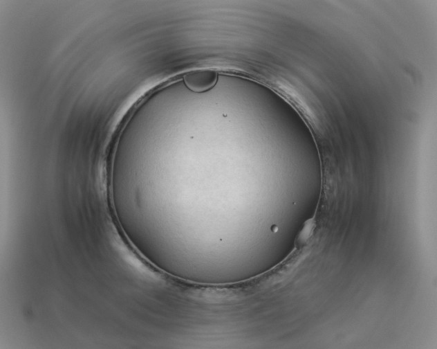 X0000114091092200910191558