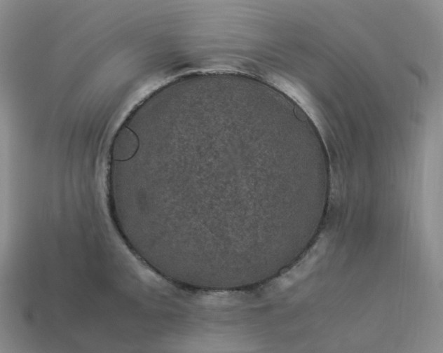X0000114091093200910191558