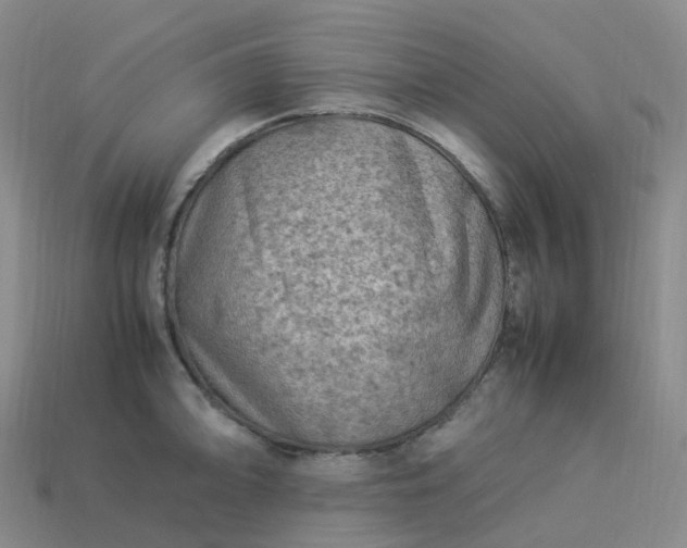 X0000114091094200910191558