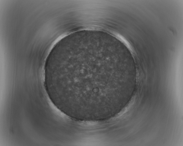 X0000114091095200910191558