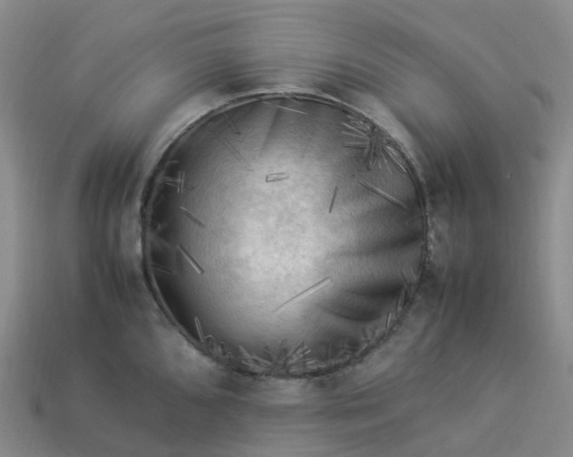 X0000114091096200910191558