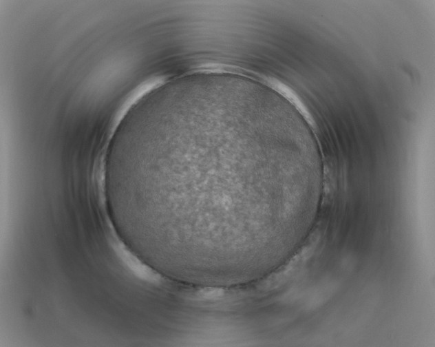 X0000114091098200910191558