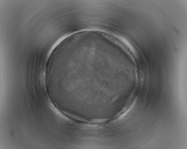 X0000114091100200910191558