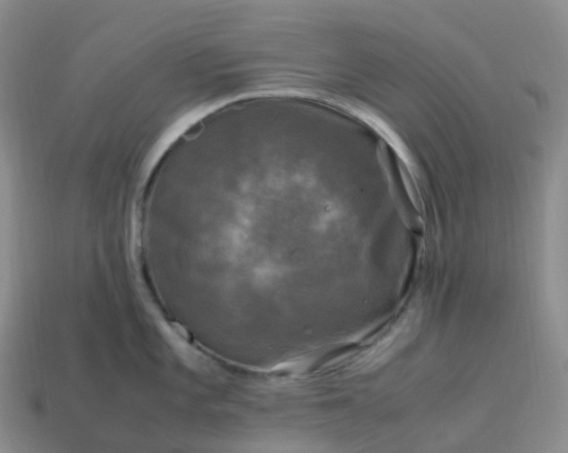 X0000114091101200910191558