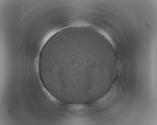 X0000114091103200910191558