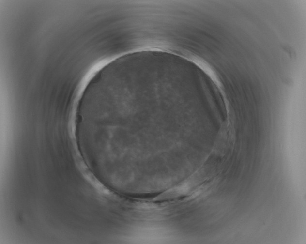 X0000114091104200910191558