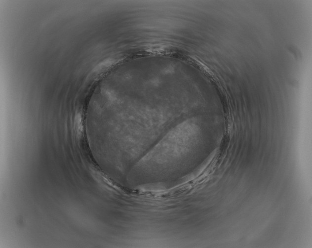 X0000114091106200910191557
