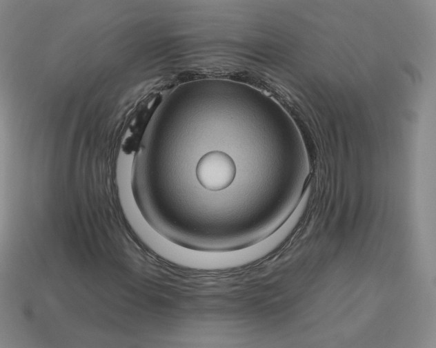 X0000114091108200910191557