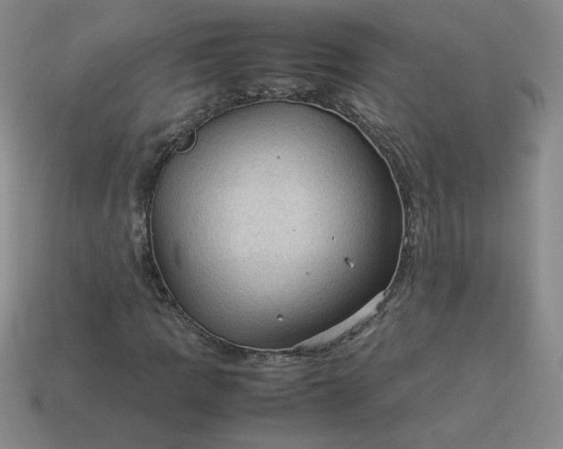 X0000114091109200910191557