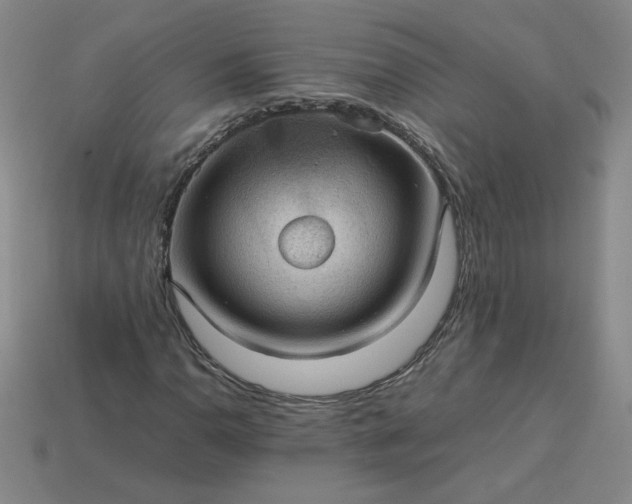 X0000114091110200910191557